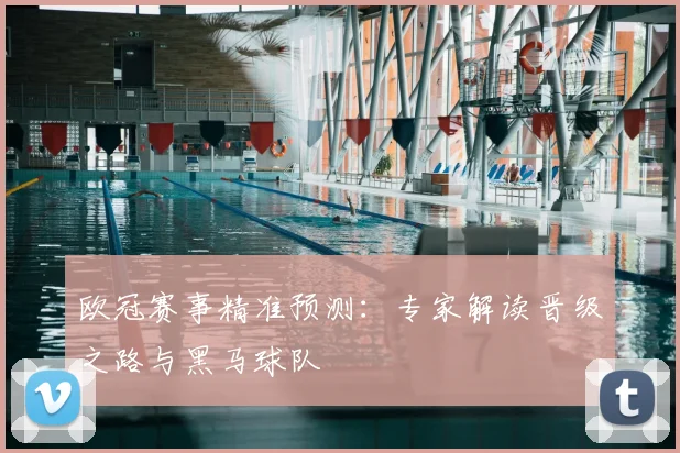 欧冠赛事精准预测：专家解读晋级之路与黑马球队